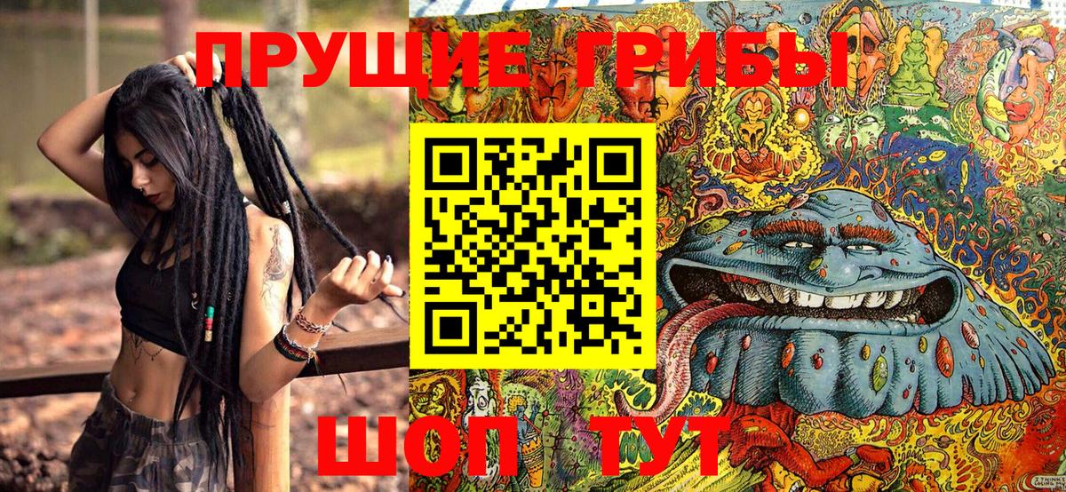 Псилоцибиновые грибы Psilocybine cubensis Домодедово
